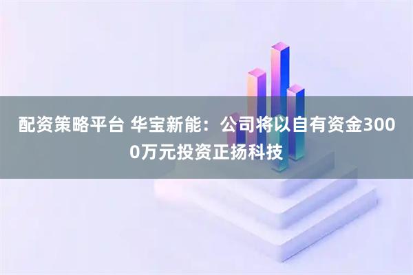 配资策略平台 华宝新能：公司将以自有资金3000万元投资正扬科技
