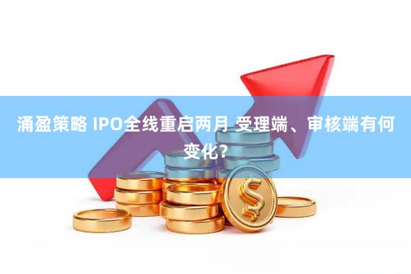 涌盈策略 IPO全线重启两月 受理端、审核端有何变化？