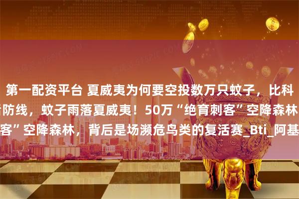 第一配资平台 夏威夷为何要空投数万只蚊子,比科幻更激进!封锁禽疟最后防线,蚊子雨落夏威夷!50万“绝育刺客”空降森林,背后是场濒危鸟类的复活赛_Bti_阿基基基_考艾岛