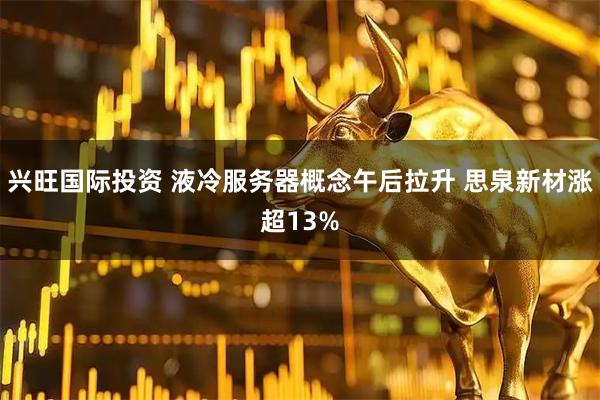 兴旺国际投资 液冷服务器概念午后拉升 思泉新材涨超13%