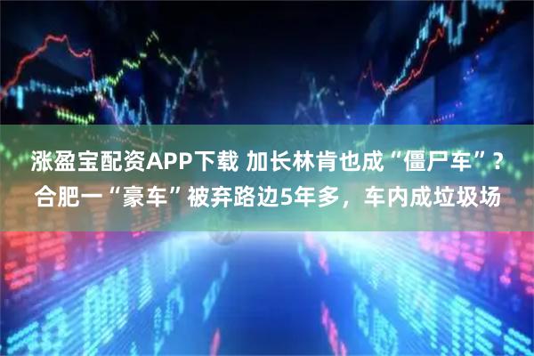 涨盈宝配资APP下载 加长林肯也成“僵尸车”？合肥一“豪车”被弃路边5年多，车内成垃圾场