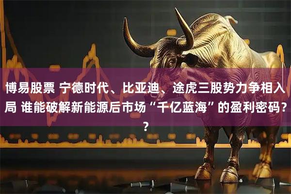 博易股票 宁德时代、比亚迪、途虎三股势力争相入局 谁能破解新能源后市场“千亿蓝海”的盈利密码？